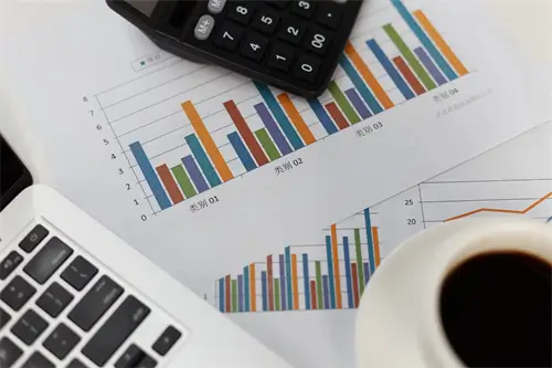 法律jin zhen什么意思