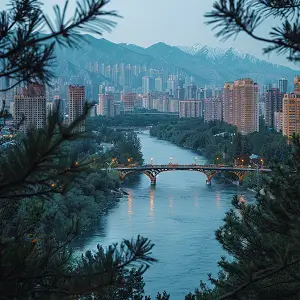 法律中s表示什么