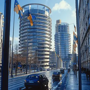 禁运条例是什么法律