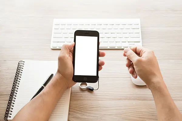 法律事务主要是什么岗位